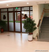 <b>营模式为“平易近办公帮”</b>